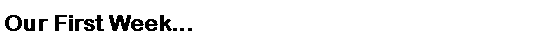 Text Box: Our First Week...